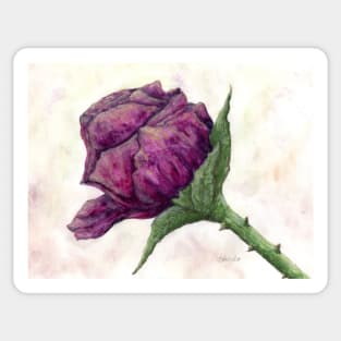 Violet rose Sticker